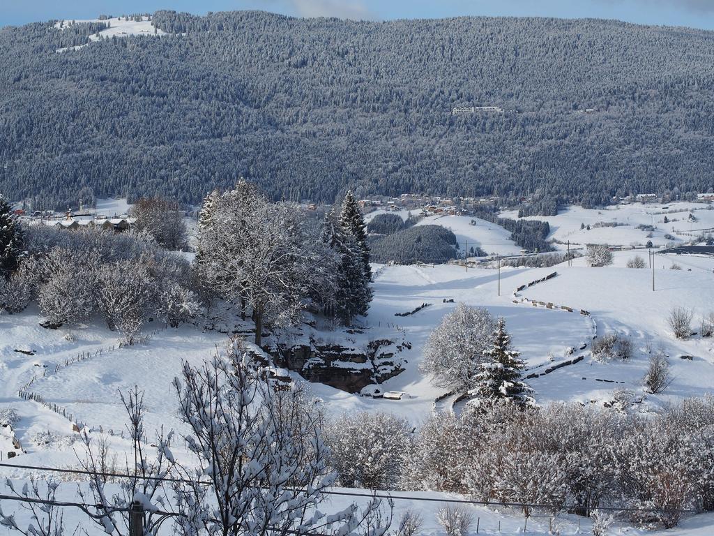 Hotel Belvedere Roana Bagian luar foto