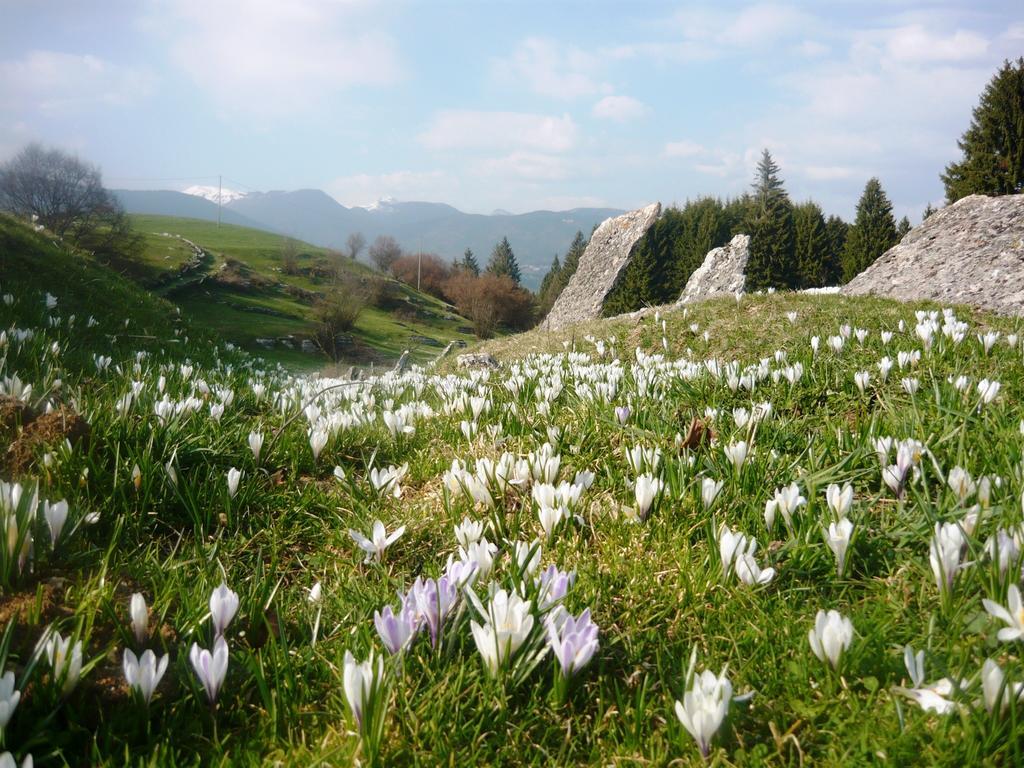 Hotel Belvedere Roana Bagian luar foto