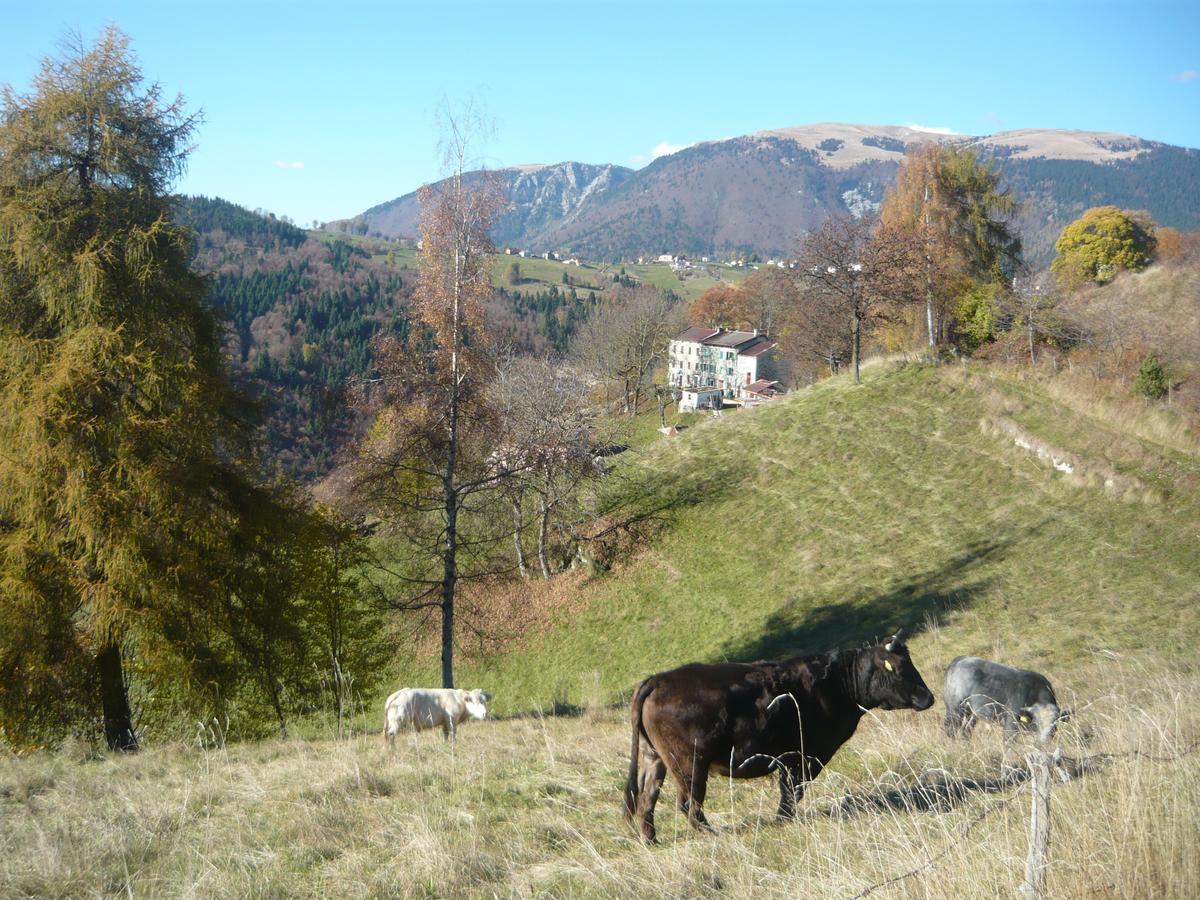 Hotel Belvedere Roana Bagian luar foto